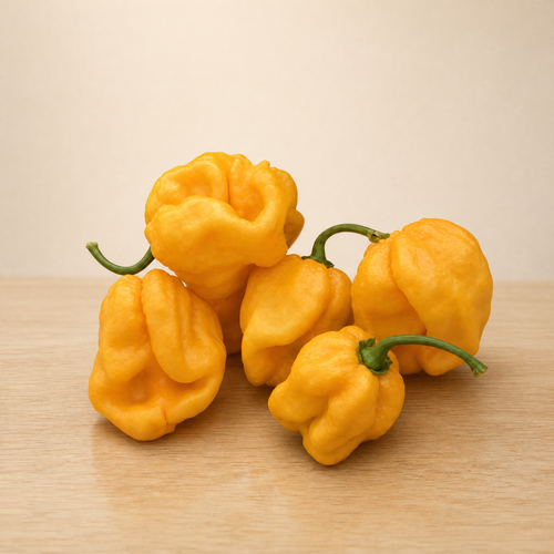 Fresh yellow Trinidad Moruga Scorpion peppers with wrinkled skin
