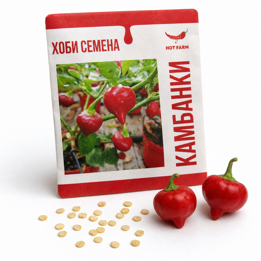 Семена Камбанки