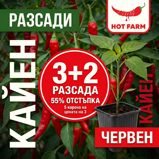 3+2 корена безплатно: разсад Кайен