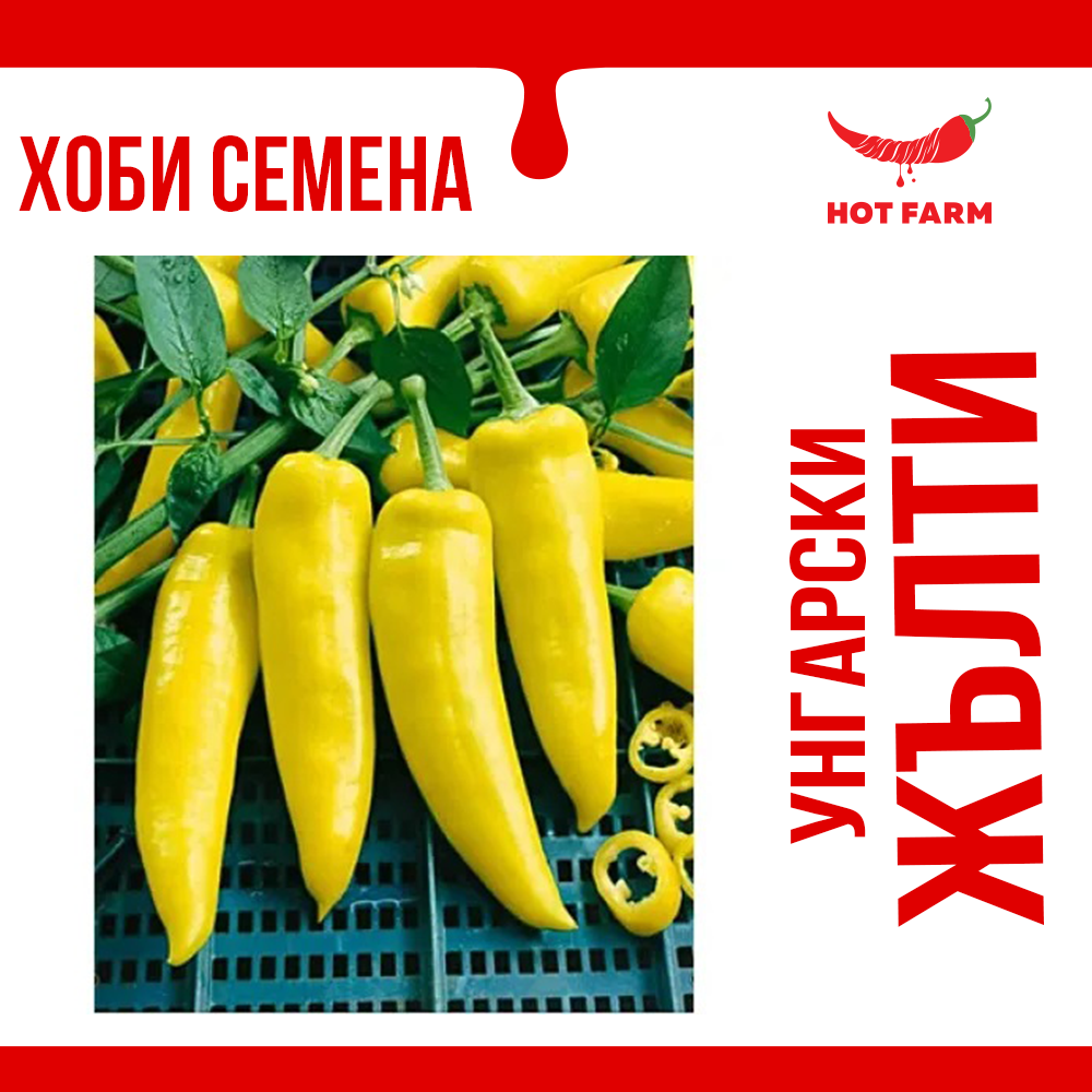 Hungarian Yellow chili seeds, perfect for growing medium-spicy peppers with vibrant yellow color and rich flavor.