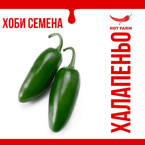 Jalapeno seeds for growing the world’s most popular chili pepper with a rich history and versatile culinary uses.