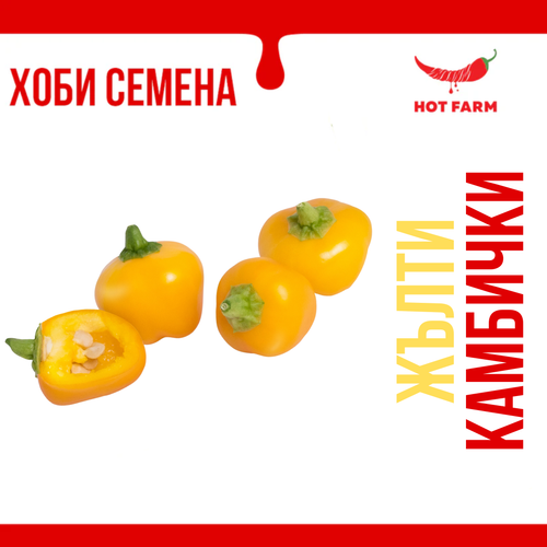 Семена Камбички - жълти