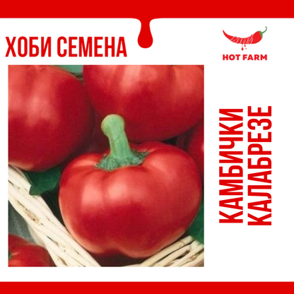 Семена Камбички Калабрезе