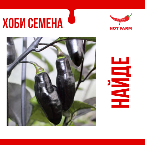 Семена Найде