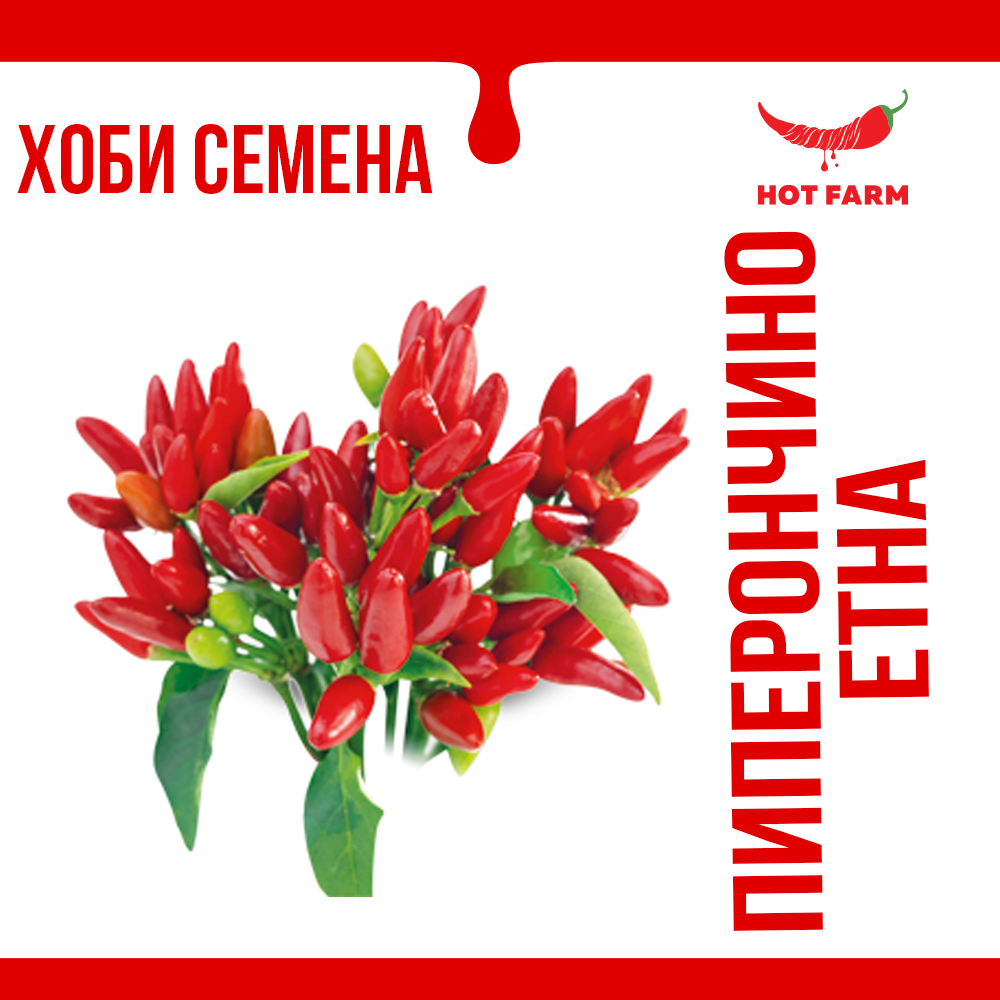 Seeds of Peperoncino Etna chili, an Italian pepper variety with vibrant colors and moderate heat, perfect for culinary and decorative use.