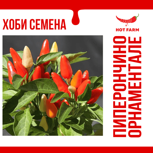 Piperoncino Ornamentale chili seeds for growing vibrant and decorative peppers with moderate heat.