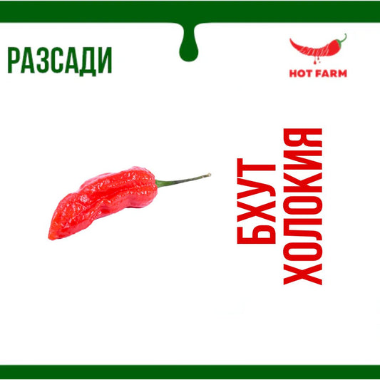 Разсад Бхут Холокия (Ghost Pepper)
