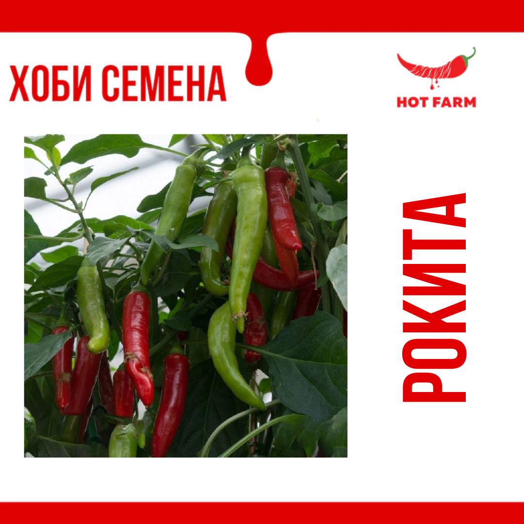Rokita seeds – HotFarm