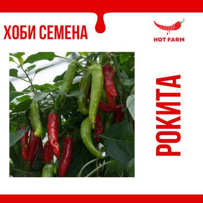Rokita Seeds