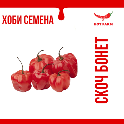 Семена Скоч Бонет