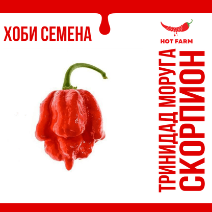Seeds from the hottest peppers in the world from HotFarm