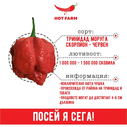 Semena trinidad moruga scorpion red ot HotFarm 