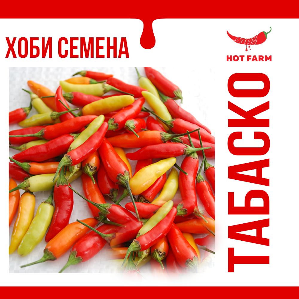 Seeds of Tabasco chili, a classic Mexican pepper variety with vibrant colors and intense heat, ideal for sauces and spicy dishes.