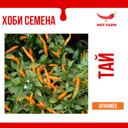 Семена Тай - Оранжев